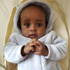 Where can I get tappet buckets for a 5A engine in Kenya?