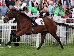 Deutscher Galopp - News update