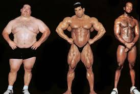 Body Building Craze Ectomorph Mesomorph And Endomorph What Is The Difference I told you i'd be back.