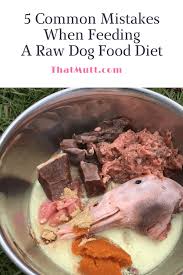 There are two ways to determine how much raw food your dog should eat per day. 5 Common Mistakes When Feeding Your Dog A Raw Diet That Mutt