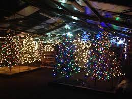 Stew Leonards Christmas Trees 2021 The Top 21 Ideas About Stew Leonard S Christmas Trees Best Diet And Healthy Recipes Ever Recipes Collection