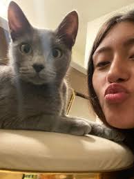 Found Cat at AMC Tech Ridge Parking Lot in Austin