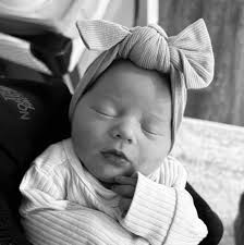 Anne Primack and Austin Hill's Wedding Website