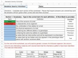 Our main objective is that these monohybrid cross. Mendelian Genetics Worksheet Teachers Pay Teachers