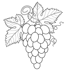 50 gambar ilustrasi lukisan pemandangan alam pantai gunung. Gambar Mewarnai Buah Anggur Untuk Tk Dan Paud Marimewarnai Com