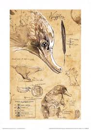 Harry Potter And The Order Of The Phoenix Illustrated Edition Jim Kay Pin Ot Polzovatelya Aisha Ahmed Na Doske Phantastische Tierwesen Und Wo Sie Zu Finden Sind Mifologicheskie Sushestva Mificheskie Sushestva Kriptozoologiya