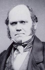 Opinion de Charles Darwin sur la religion — Wikipédia