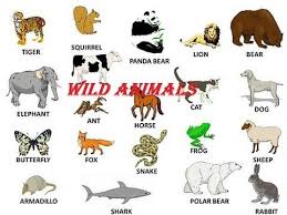 Wild Animals Name In English Learning For Kids Wild Animals Pictures Farm Animals Pictures Animals Name With Picture