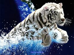 Category 3d Page 48 Tiger Wallpaper Tiger Pictures Animal Wallpaper