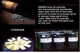 Gold mining can be extremely dangerous and one of the most harmful practices is the use of cyanide to extract the precious metal from the rock. Cyanide The Gold Mine S Killing Device Lupanatin
