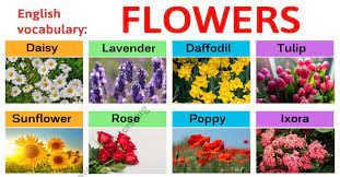 The vivid blossom is always associated with joy. Types Of Flowers Learn Different Flower Names With The Picture My English Tutors
