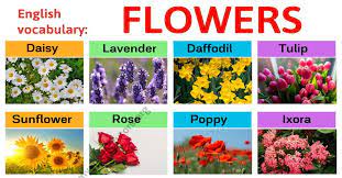 Check spelling or type a new query. Types Of Flowers Learn Different Flower Names With The Picture My English Tutors