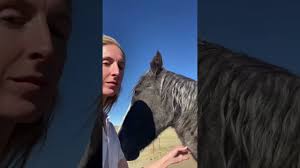 My childhood horse #seniorhorse