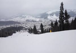 Vizualizati camera respectiva dand un click pe link. Partia VeveriÈa Partia Parc Din Vatra Dornei Blog De Calatorii Zigzag Pe HartÄ