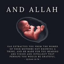 جہانزیب خاں جہانزیب خاں Shaur Jahanzaib Qoutes Shaurmag Urdu Urduquote Science Quotes Islamic Inspirational Quotes Islamic Quotes
