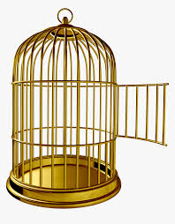golden bird cage png image bird cage with door open transparent png kindpng golden bird cage png image bird cage