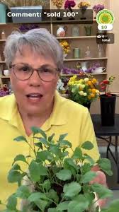 Flower Gardening Show with Lisa:, My Cool Flower Planting Times,  #flowergardening #flowerfarmer #urbanflowerfarm #gardenersworkshopfarm ,  #coolflowers
