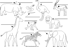 My buddhist lists by kenji. Label African Animals Enchantedlearning Com