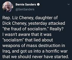 Photo i took of a flower in the cheney mansion gardens (september, 2019). Bernie Slams Liz Cheney