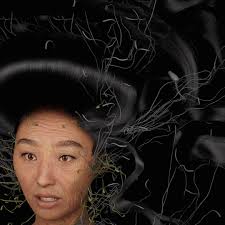 Emily Carr University (@emilycarru) • Instagram photos and videos