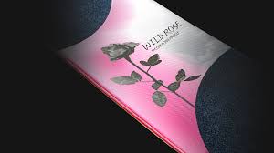 Image result for Wild Rose 1999 Tiburon