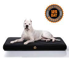 We did not find results for: Chew Proof Ballistic Orthopedic Dog Bed Gorilla Dog Beds