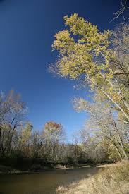 Middle fork river forest preserve is in the northeastern corner of champaign county. Middle Fork Vermilion River Wikipedia