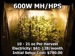 Eye hortilux cmh 315 grow light system ceramic metal halide lec 120/240v 315 watts. 600w Mh Hps Cannabis Grow Setup Tutorial Grow Weed Easy
