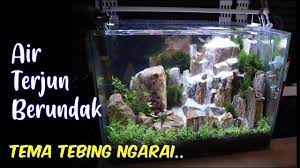 Setting Air Terjun Berundak Menggunakan Batu Fosil Tema Tebing Ngarai Canyon Tank 40cm Youtube Air Terjun Air Akuarium