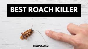 roaches in the kitchen cabinet