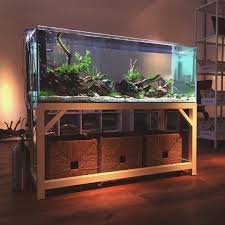 Aquascaper Mr Furqhan Worked His Magic On This Very Old Tank Of Mine Using Tropica Plants Of Course Which We Have N Presnovodnyj Akvarium Akvarium Terrarium