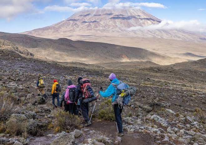 Kilimanjaro mountain wilderness landscape
