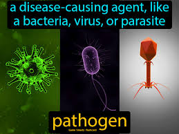 Pathogen Flashcard 7th Grade Science In 2020 Science Flashcards Flashcards Science Student