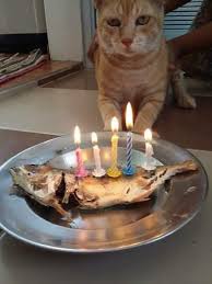 Posted on jun 8, 2010 by pekanbakery. Untung La Dapat Sambut Birthday Himpunan Cerita Lawak Facebook