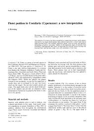 Image result for Costularia natalensis