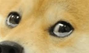 What's with dogecoin and the dog? Dogecoin