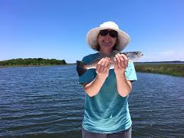 We did not find results for: Did You Know That Spotted Seatrout Are In The Drum Family All In One Fishing Charters