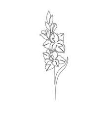 The gladiolus tattoo is one of the most beautiful and elegant tattoos that have emerged from the tattoo art industry. Gladiolus Tattoo Vector Images 14