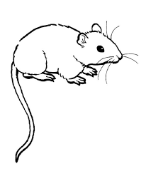Coloring pages are fun for children of all ages and are a great educational tool that helps children develop fine motor skills, creativity and color recognition! Rat Clipart Colouring Page 5 Animal Coloring Pages Animals Coloring Pages Coloring Pages