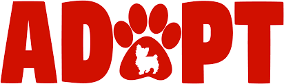 Maybe you would like to learn more about one of these? Rescue Adoptions Veterinarian In Stony Brook Ny Three Village Veterinary Hospital