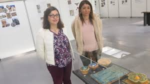 Romorantin Nouvelle Exposition A Cera Brique