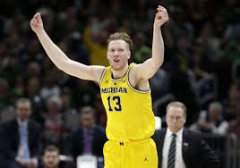 Image result for Dissotis brazzae