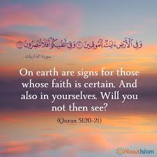 Here are the best wisdom quotes so you can learn to adapt to change and embrace uncertainties and wonders. Islam Quotes About Peace From Quran Koran Quotes About Peace Image Quotes At Relatably Com Dogtrainingobedienceschool Com