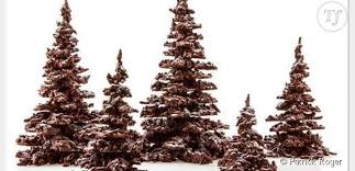 E M6 Recette Du Sapin En Chocolat Amandes De Patrick Roger Chocolat Noel Rose Des Sables Chocolat Chocolat