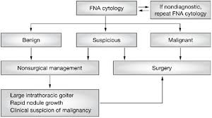 Here are several tips on how you can monitor, manage and analyze the status of your thyroid nodules and the symptoms you may experience. Nonsurgical Approaches To The Management Of Thyroid Nodules Nature Reviews Endocrinology