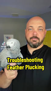 A case study sharing my thought process