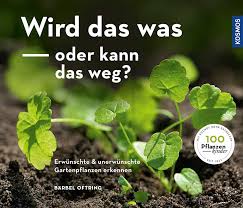 Unkraut Bestimmen Und Wildkrauter Im Garten Gartenblog