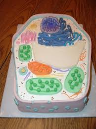 Check spelling or type a new query. Plant Cell Cake 3 Steps With Pictures Instructables