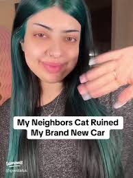 Charming Encounters with My Neighbor's Cat