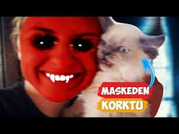 Gatos Asustados De Mascaras Compilacion De 2018 Momentos Divertidos Youtube 2020 Kedi Eglenceli Anlar Komik